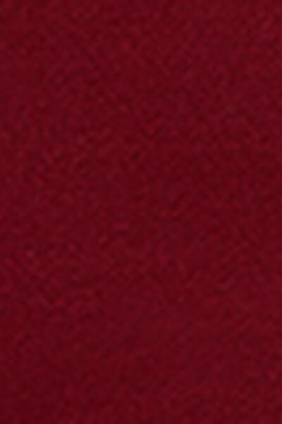 Red Shiny Satin Ruched Brazilian Bikini Bottoms, 5501_156E, large image number 4