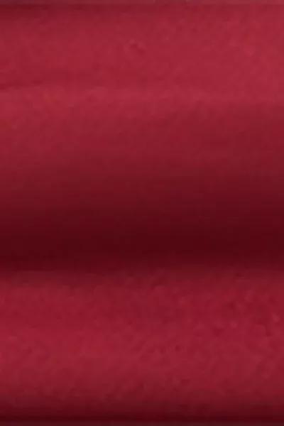 Red Shiny Satin Lined Bikini Bottoms, 5501_156E, large image number 4