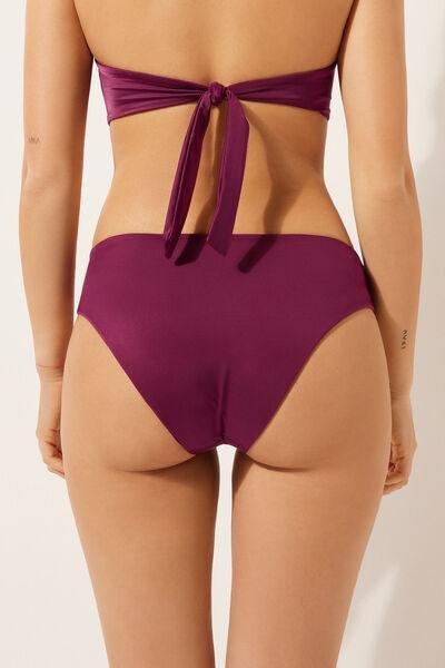 Burgundy High-Waisted Bikini Bottoms, , large image number 2