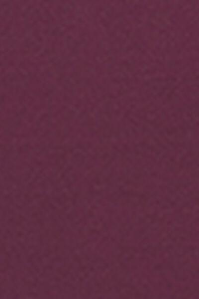 Burgundy High-Waisted Bikini Bottoms, 5501_180E, large image number 4