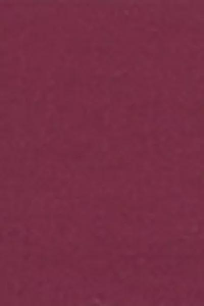 Burgundy Ruched Bikini Bottoms, 5501_101E, large image number 4