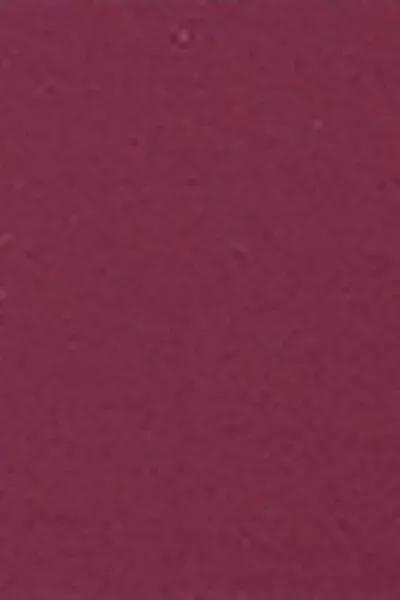 Burgundy Bow-Detail Bikini Bottoms, 5501_101E, large image number 4