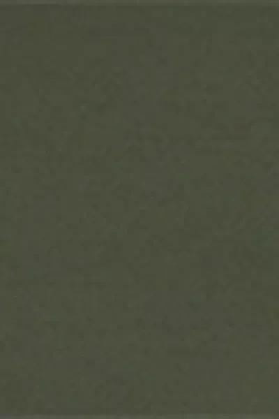 Green Premium Sculpt Tie Bikini Bottoms, 5501_164E, large image number 4