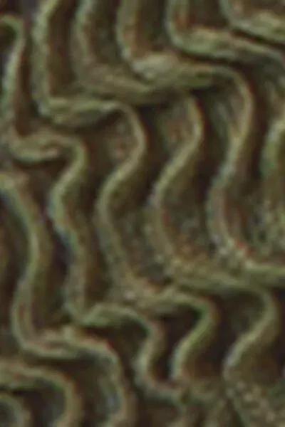 Green Crinkle Waves Tie Bikini Bottoms, 5501_158E, large image number 4