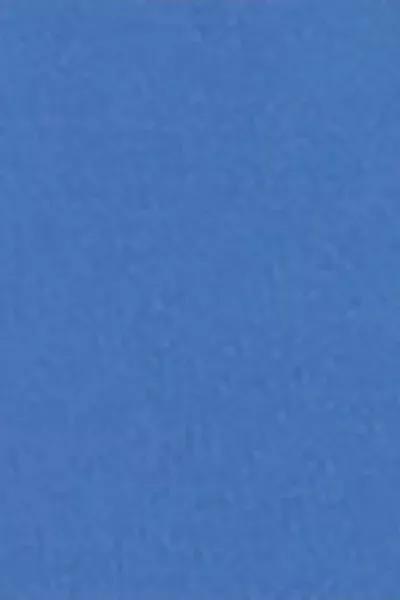 Blue Thong Bikini Bottoms, 5501_060E, large image number 4