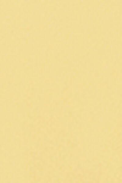 Yellow Bicolour Piping Thong Bikini Bottoms, 5501_248E, large image number 4
