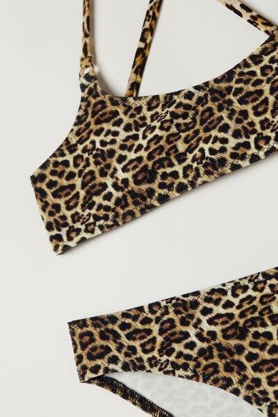 Brown Annimal Print Malindi Bikini Brassiere, Girls, , large image number 1