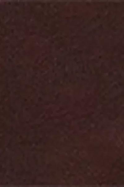 Brown Trim Detail Short Socks, Brown, large image number 2