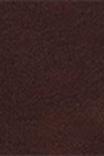 Brown Trim Detail Short Socks, Chestnut Brown, large image number 3