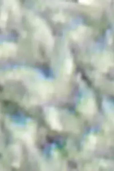 Green Glitter Socks, 5501_159D, large image number 2