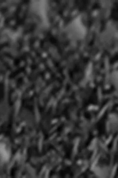 Black Floral-Patterned Mesh Short Socks, Black Flowers, large image number 3