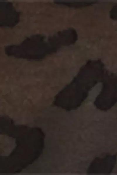 BLACK ANIMAL PRINT Animal Print Sheer Short Socks, 5501_5270, large image number 4