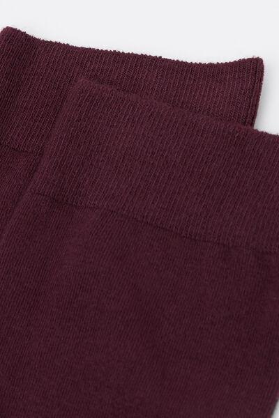 Burgundy Ribbed Long Cashmere Socks, 5501_174D, large image number 1