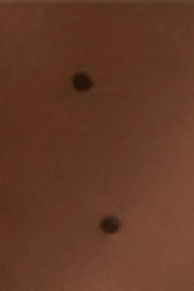 Sheer Christmas Tights, 5473 - Brown, 5501_5473, large image number 3