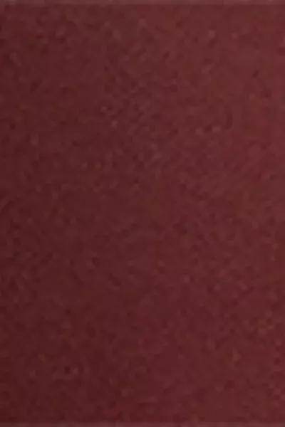 50 Denier Totally Invisible Tights, Burgundy, 5501_5503, large image number 3