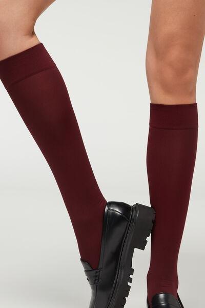 Burgundy 60 Denier Microfibre Hold-Ups, Grape, large image number 0
