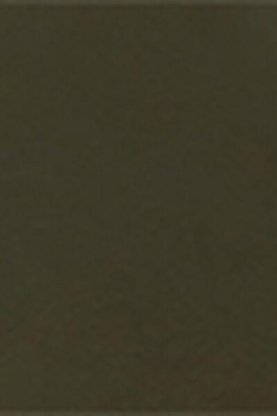 Green Thermal Leather Effect Leggings, 5501_046F, large image number 3