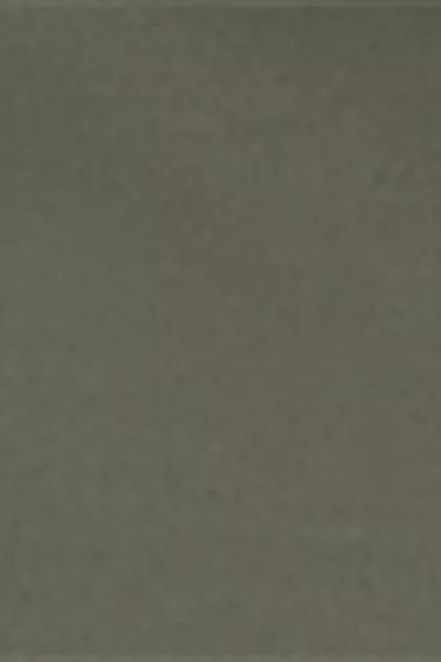 Green First Class Soft Touch Flared Pants, 5501_163F, large image number 4