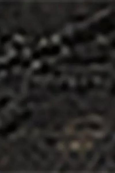 40 Denier Tulle Hold-Ups, Black, 5501_3580, large image number 3