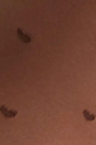 30 Denier Sheer Tights, Black, 5501_4906, large image number 3