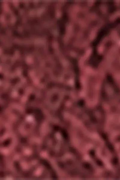 Lace And Diamante Tights, Burgundy, 5501_126F, large image number 5