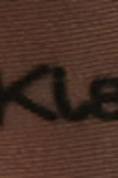 30 Denier Printed Sheer Tights, Black, 5501_5231, large image number 4