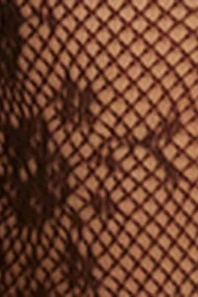 Floral Lace Tights, Brown, 5501_5536, large image number 4