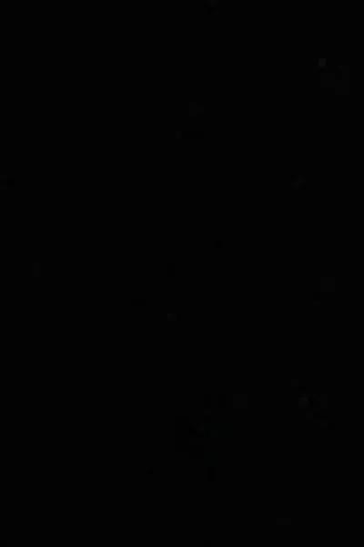 Black Smooth Velvet Palazzo Leggings, Black, large image number 4