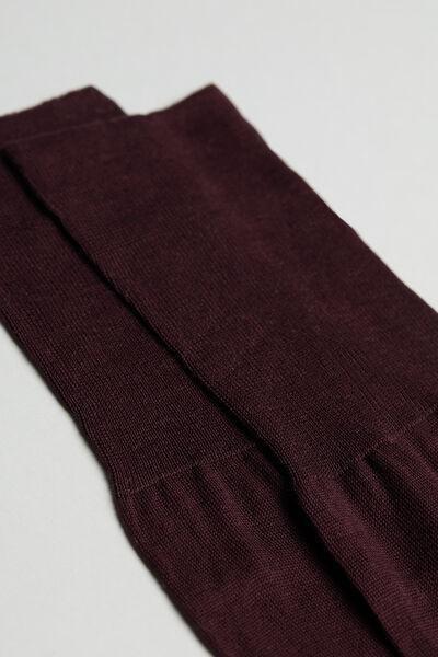 Burgundy Long Lisle Cotton Socks, Burgundy Red, large image number 2