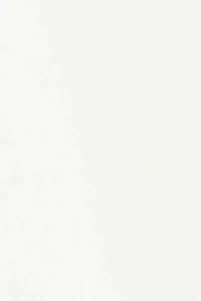 White V-Neck Tank Top, Powder White, large image number 6