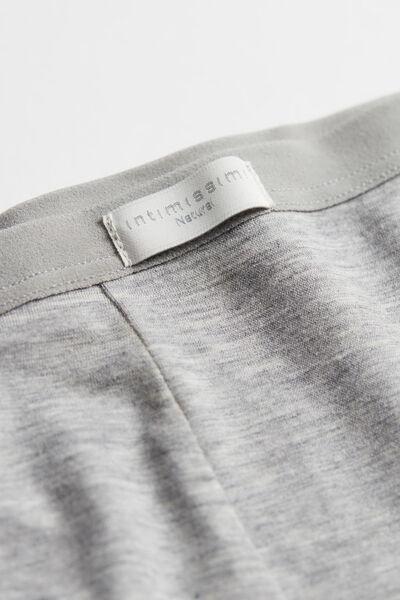 Grey Light Weight Shorts, Light Grey Blend, large image number 6
