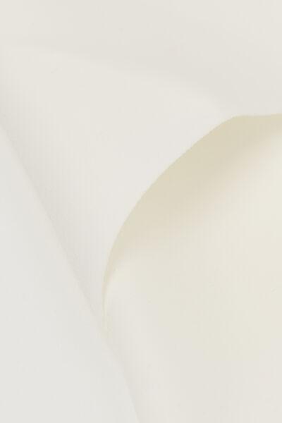 White Seamless Raw-Edge Briefs, , large image number 4