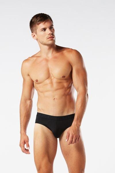 Microfiber Briefs with Logo Detail, , large image number 1