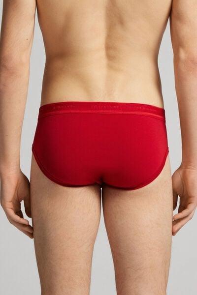 Red Stretch Supima Cotton Brief, Intense Red/red, large image number 2
