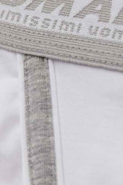 Grey / White Embroidered Superior Cotton Briefs, 5601_709J, large image number 4