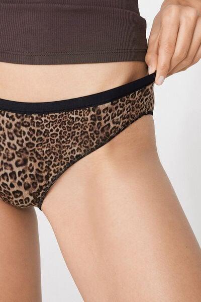 Brown Animal Print Cotton Briefs, 5701_519Z, large image number 3