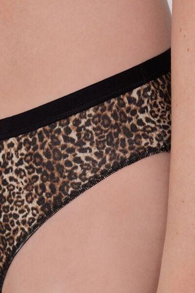 Multicolour Printed Cotton Briefs, 5701_762Y, medium