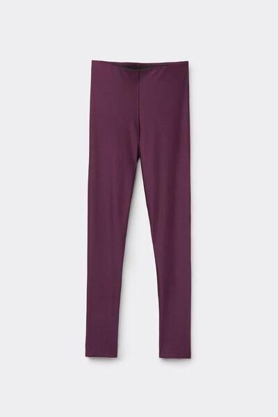 Burgundy Shiny Microfibre Leggings, , large image number 3