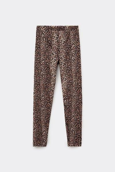 Brown Animal Print Cotton Leggings, , large image number 4