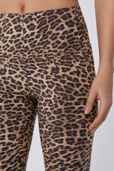 Multicolour Printed Capri Leggings, , large image number 3