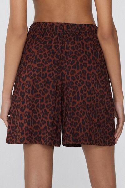 Brown Canvas Bermuda Shorts, , large image number 2