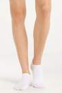 Tezenis - WHITE 5 X Short Cotton Socks