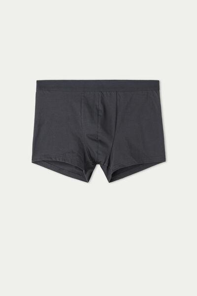 Grey Stretch Boxer Brief, , large image number 4