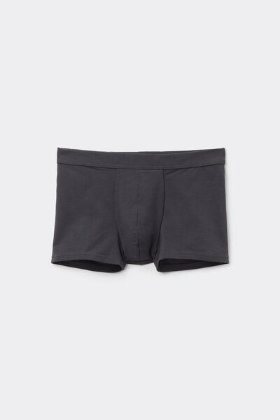 Grey Stretch Boxer Brief, , large image number 6