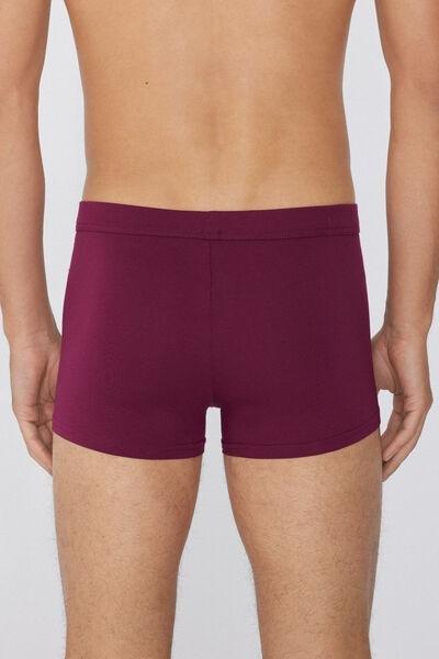 Burgundy Stretch Boxer Brief, , large image number 2