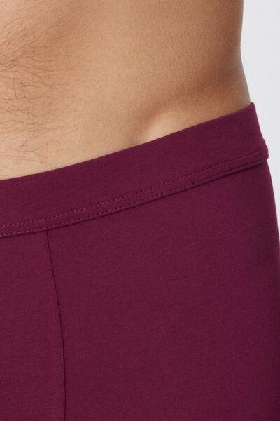 Burgundy Stretch Boxer Brief, , large image number 3