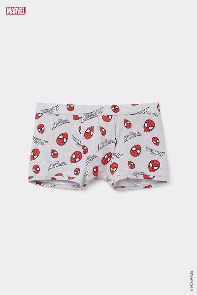 Grey Marvel Spider-Man Print Boxer Shorts, , large image number 0