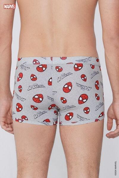 Grey Marvel Spider-Man Print Boxer Shorts, , large image number 3