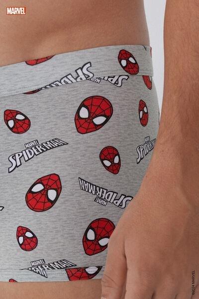 Grey Marvel Spider-Man Print Boxer Shorts, , large image number 4