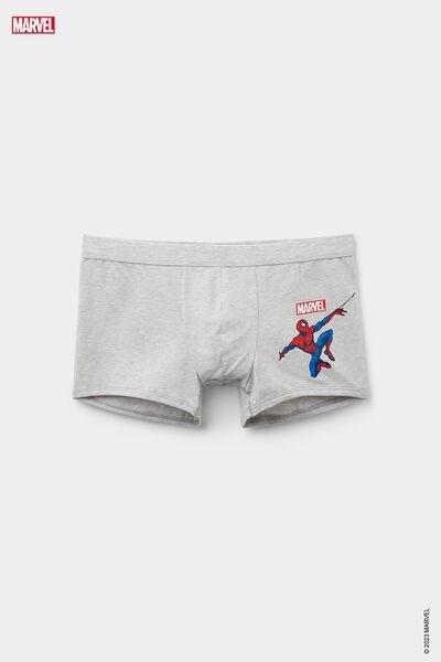 Grey Printed Boxers, , large image number 4